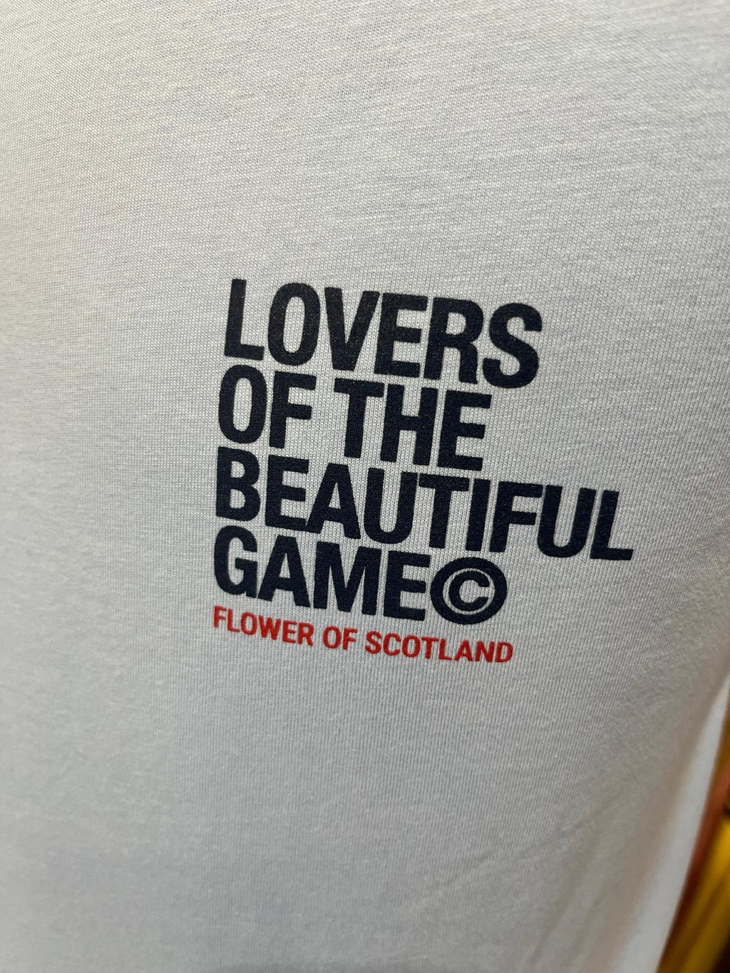 Social Recluse Scotland Tee - Soul Blue